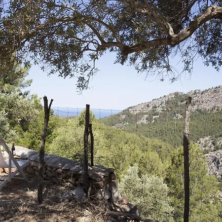 Es Coco, Soller *