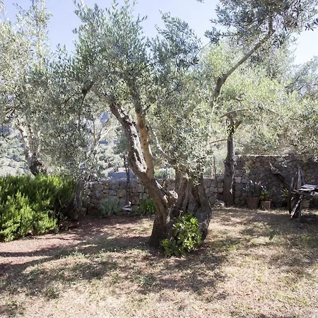 Es Coco, Soller Puerto de Sóller