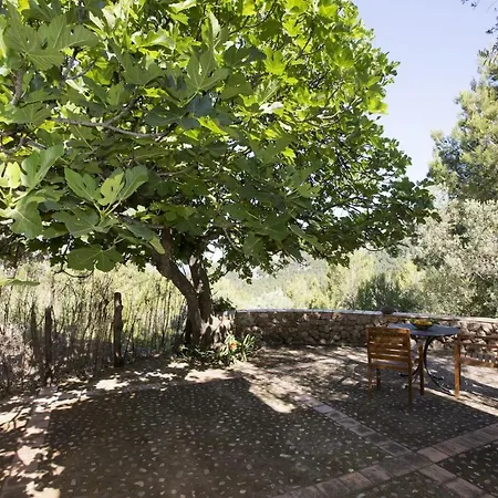 Es Coco, Soller Villa *