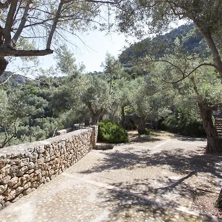 Es Coco, Soller