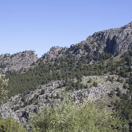 Es Coco, Soller *